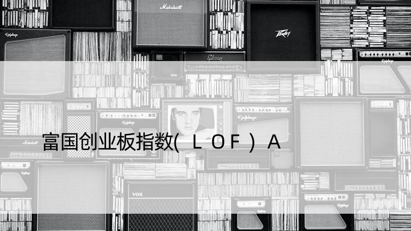 富国创业板指数(LOF)A