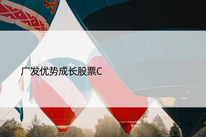 广发优势成长股票C