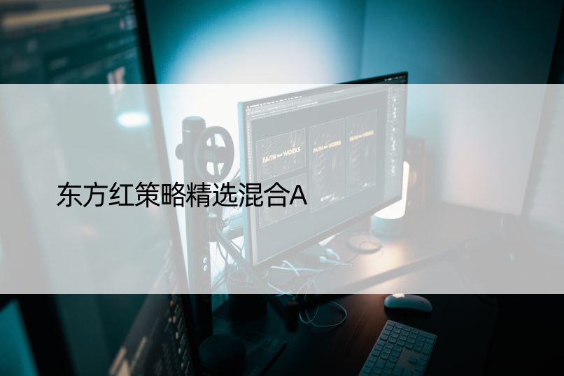 东方红策略精选混合A