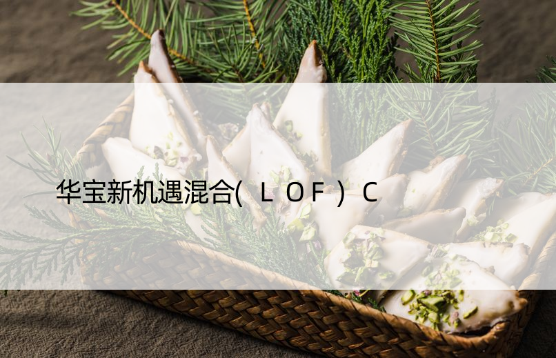 华宝新机遇混合(LOF)C