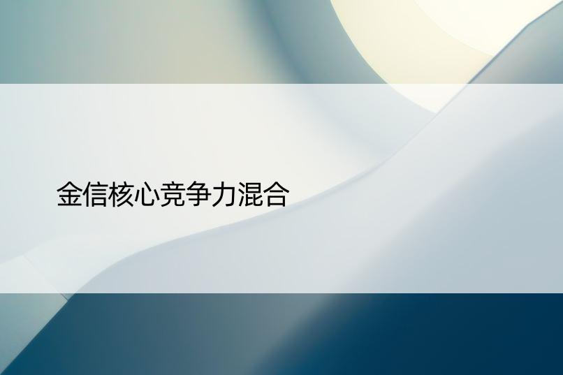 金信核心竞争力混合