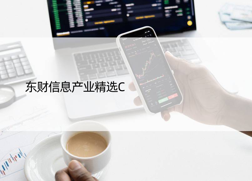 东财信息产业精选C