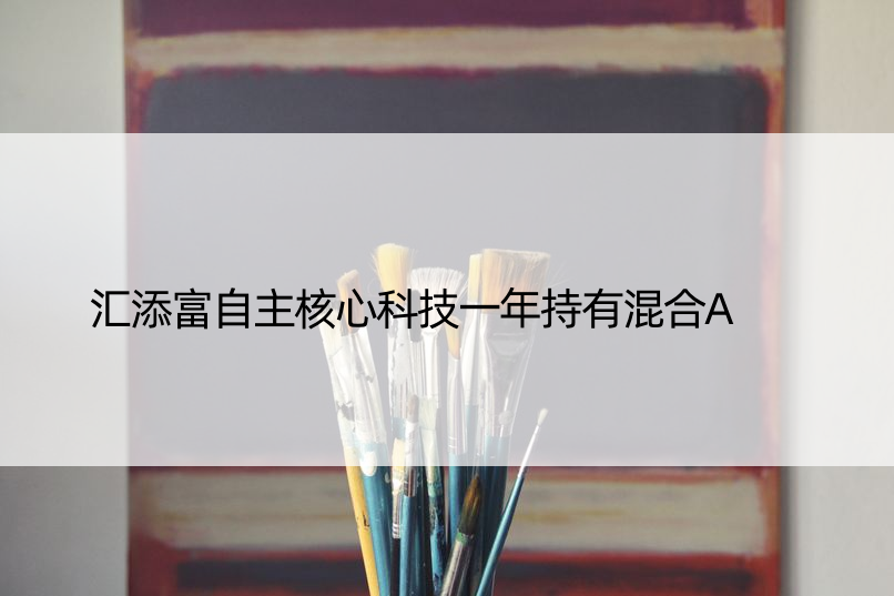 汇添富自主核心科技一年持有混合A