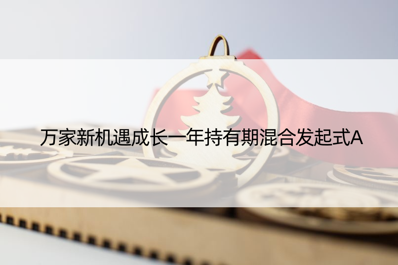 万家新机遇成长一年持有期混合发起式A