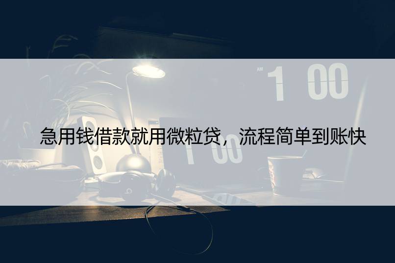 急用钱借款就用微粒贷，流程简单到账快