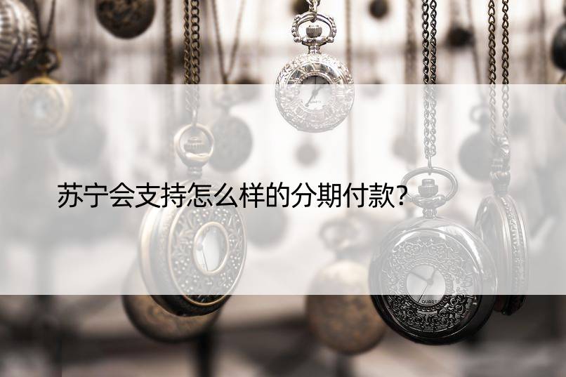 苏宁会支持怎么样的分期付款？