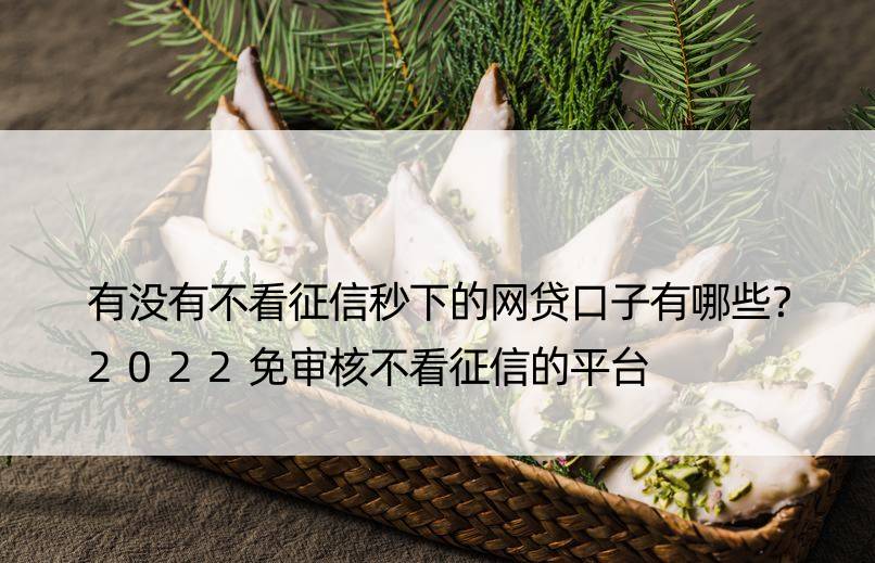 有没有不看征信秒下的网贷口子有哪些？2022免审核不看征信的平台