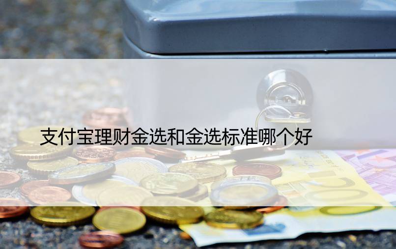 支付宝理财金选和金选标准哪个好