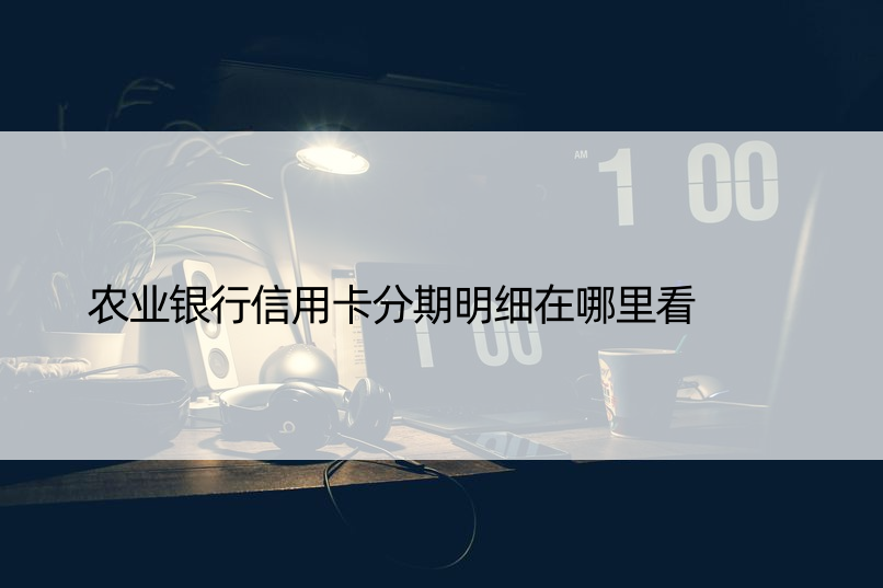 农业银行信用卡分期明细在哪里看