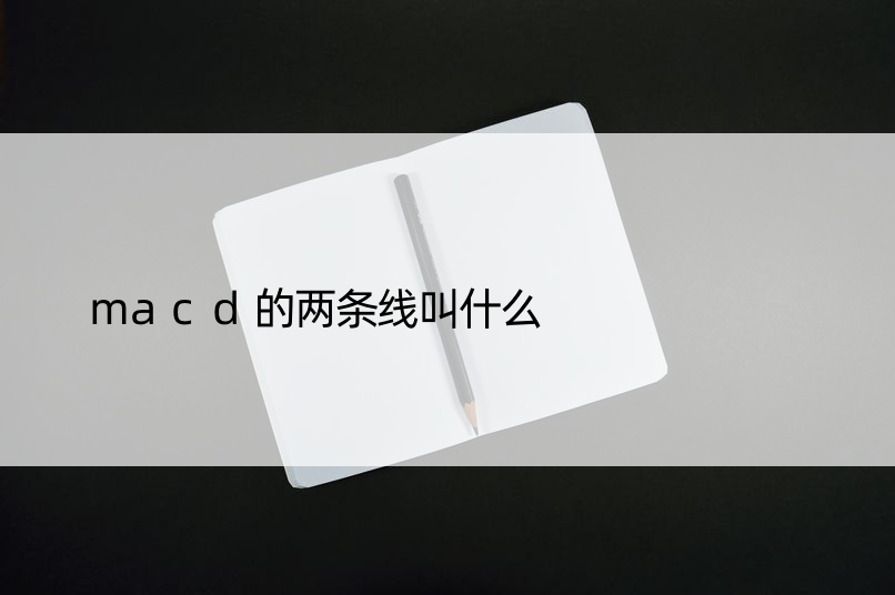 macd的两条线叫什么