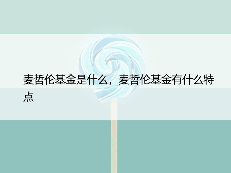 麦哲伦基金是什么，麦哲伦基金有什么特点