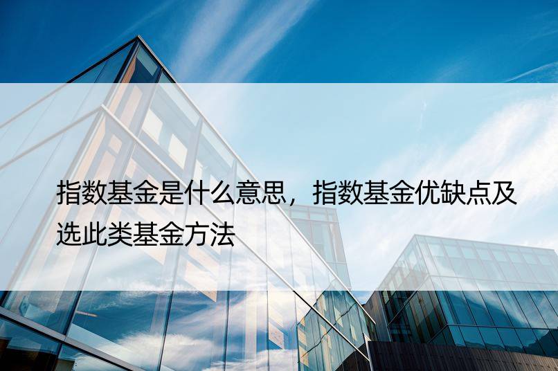 指数基金是什么意思，指数基金优缺点及选此类基金方法