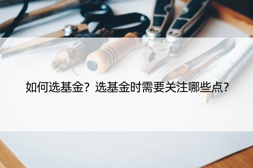 如何选基金？选基金时需要关注哪些点？