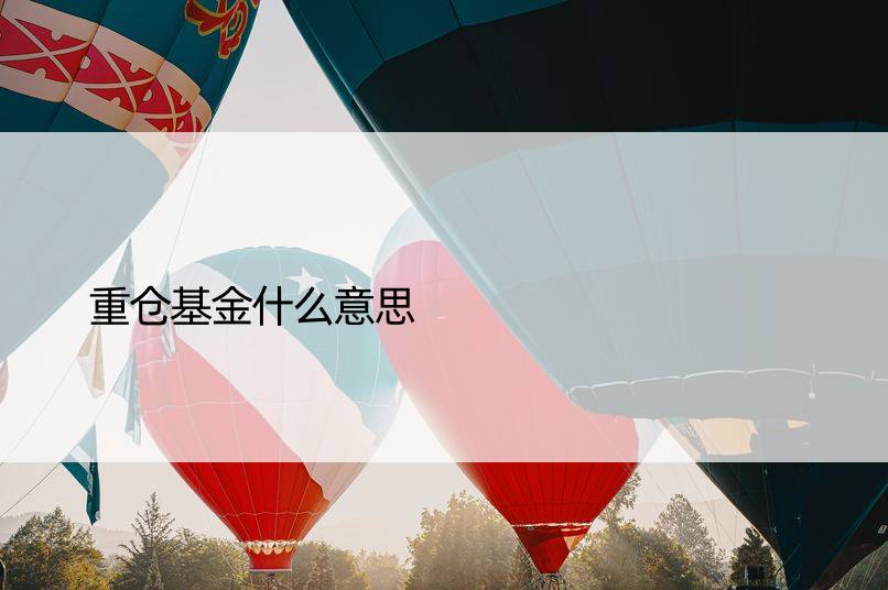 重仓基金什么意思