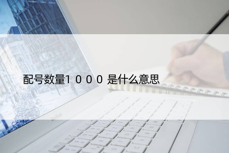 配号数量1000是什么意思