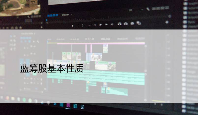 蓝筹股基本性质