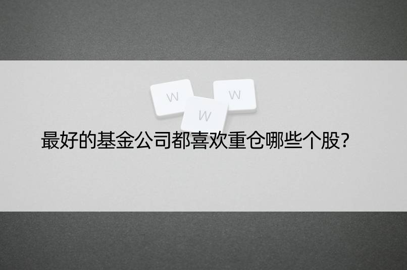 更好的基金公司都喜欢重仓哪些个股？