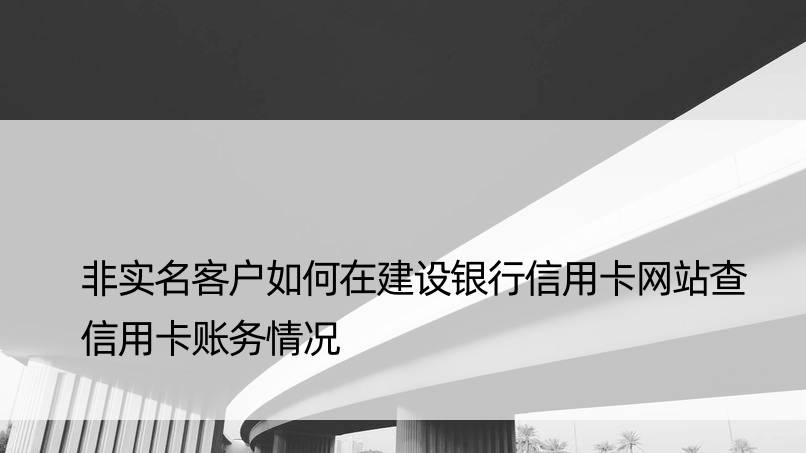 非实名客户如何在建设银行信用卡网站查信用卡账务情况