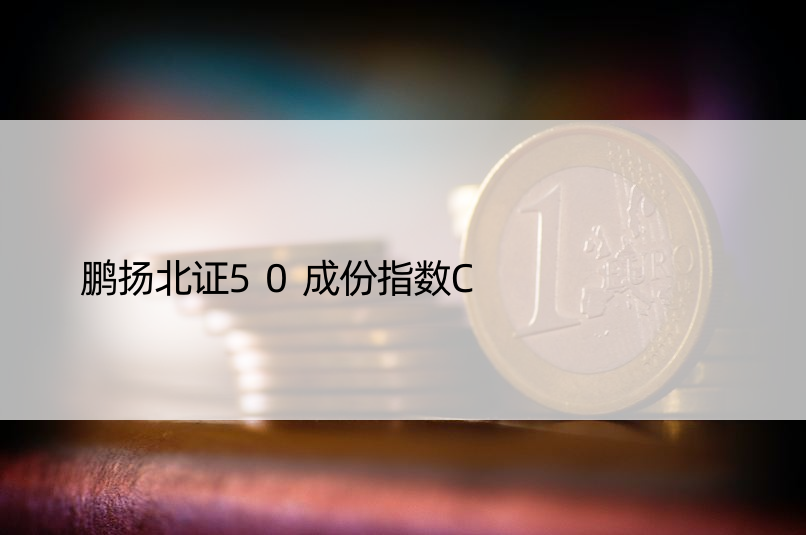 鹏扬北证50成份指数C