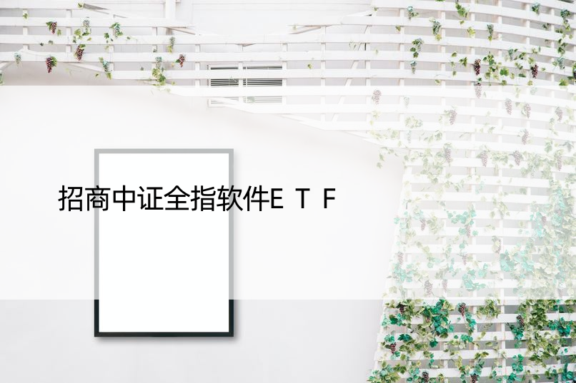 招商中证全指软件ETF