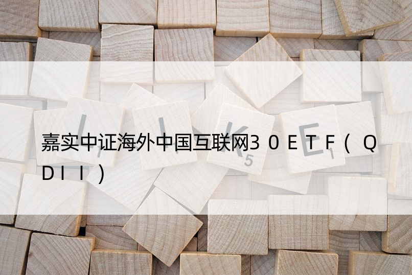 嘉实中证海外中国互联网30ETF(QDII)