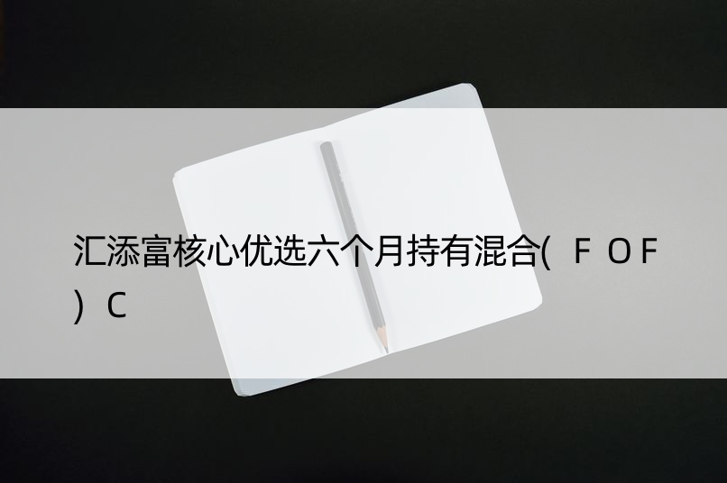 汇添富核心优选六个月持有混合(FOF)C