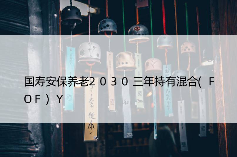 国寿安保养老2030三年持有混合(FOF)Y