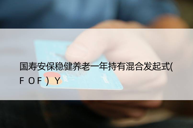 国寿安保稳健养老一年持有混合发起式(FOF)Y