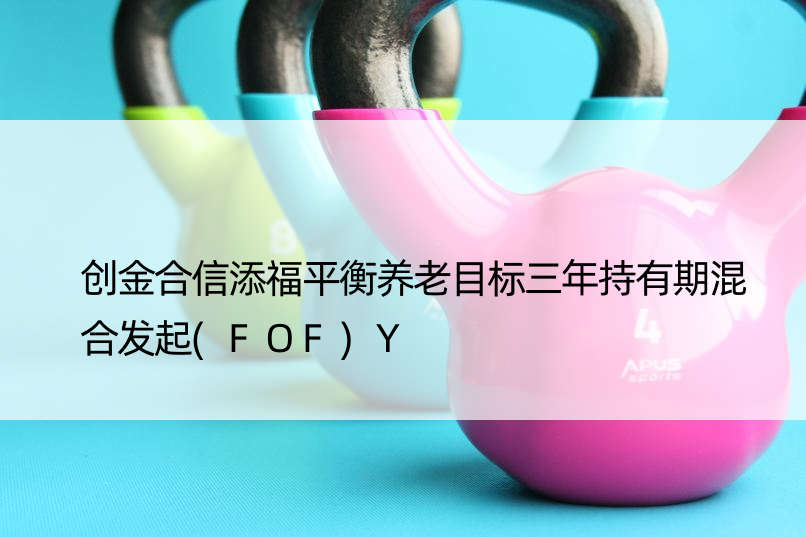 创金合信添福平衡养老目标三年持有期混合发起(FOF)Y