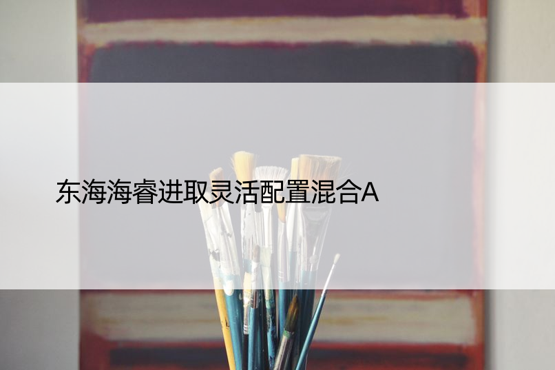 东海海睿进取灵活配置混合A