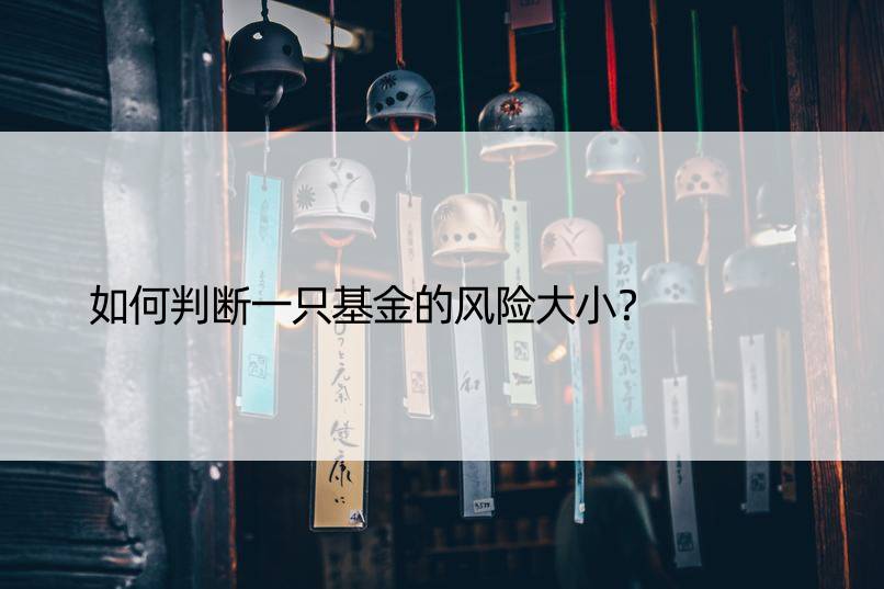 如何判断一只基金的风险大小？