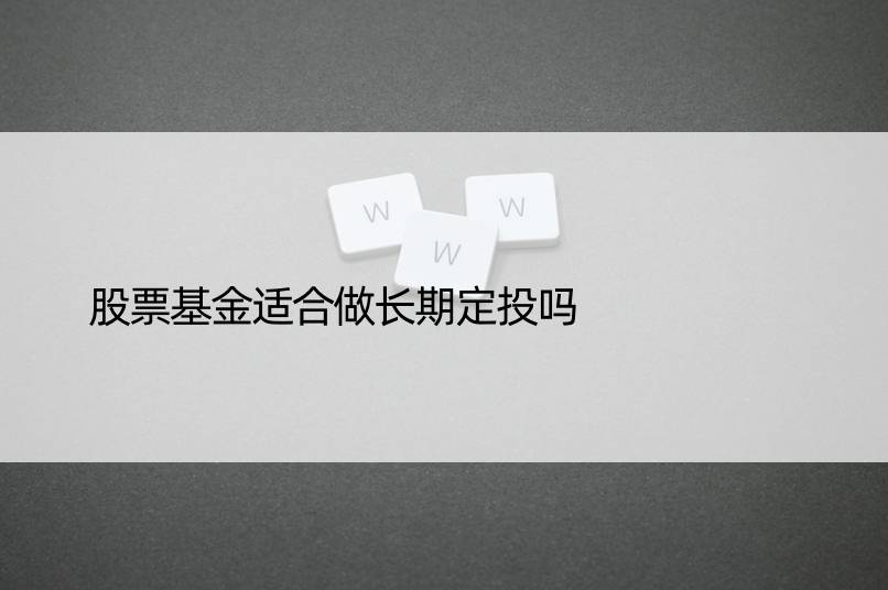 股票基金适合做长期定投吗