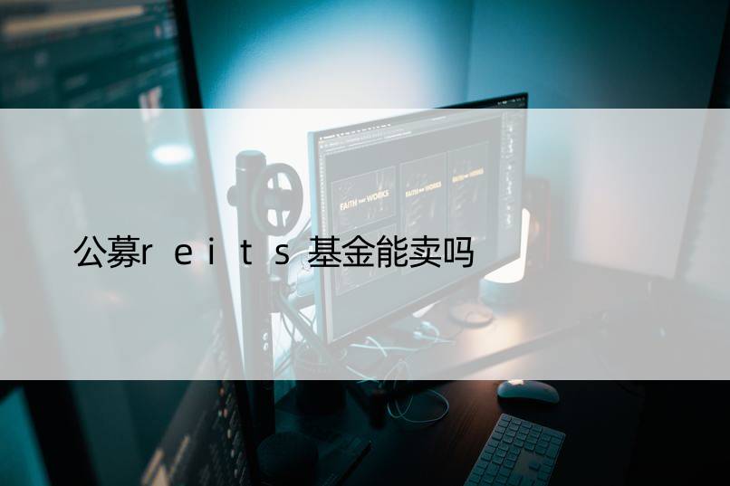 公募reits基金能卖吗