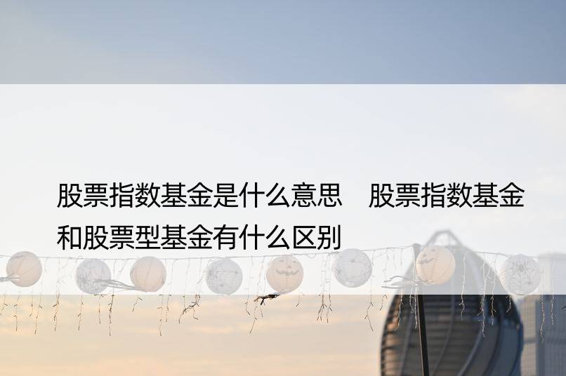 股票指数基金是什么意思 股票指数基金和股票型基金有什么区别