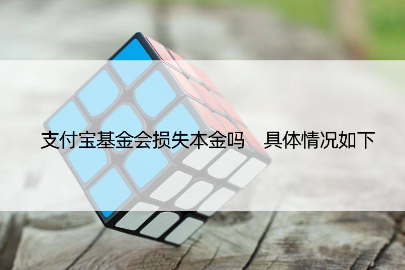 支付宝基金会损失本金吗 具体情况如下