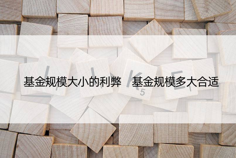 基金规模大小的利弊 基金规模多大合适