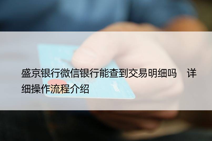 盛京银行微信银行能查到交易明细吗 详细操作流程介绍