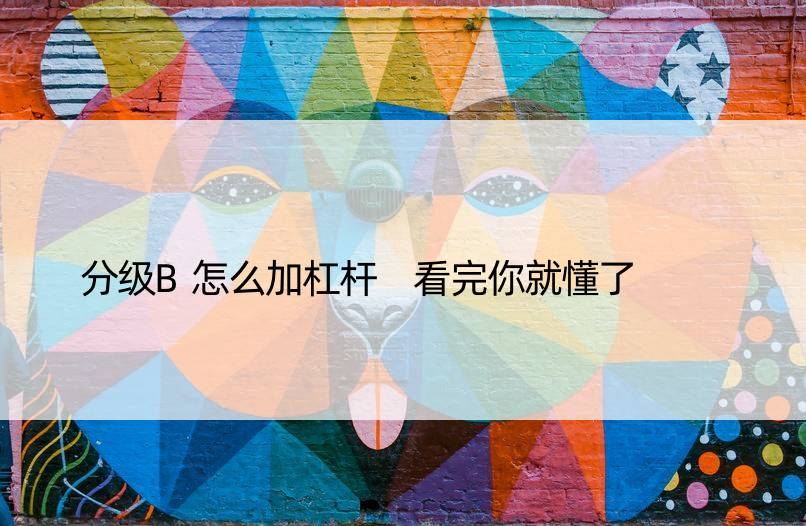 分级B怎么加杠杆 看完你就懂了