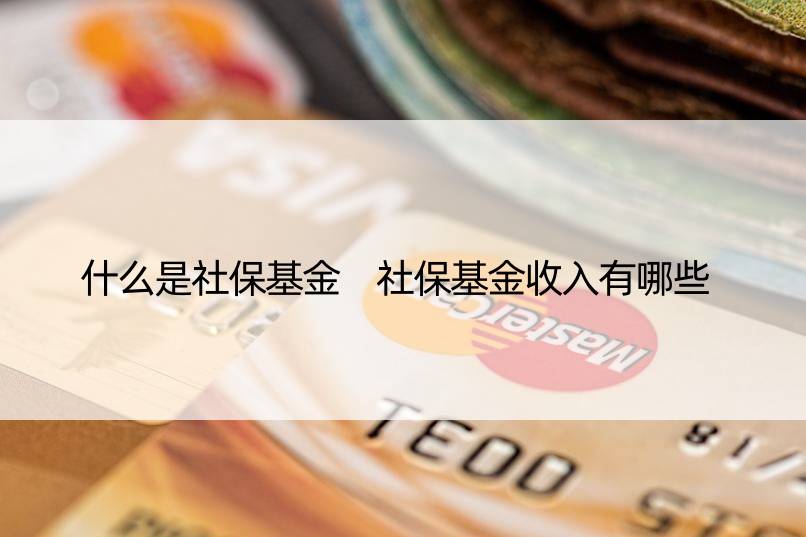 什么是社保基金 社保基金收入有哪些