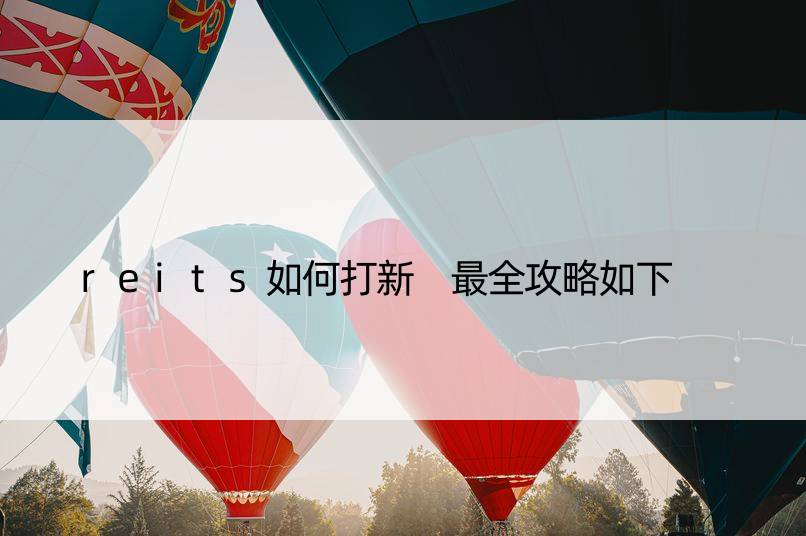 reits如何打新 最全攻略如下