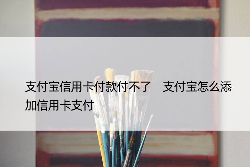 支付宝信用卡付款付不了 支付宝怎么添加信用卡支付