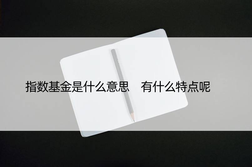 指数基金是什么意思 有什么特点呢