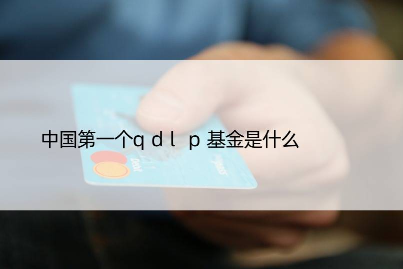 中国个qdlp基金是什么