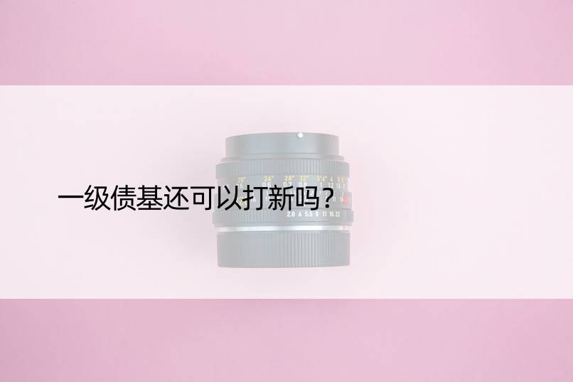 一级债基还可以打新吗？