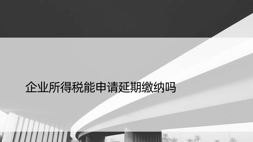 企业所得税能申请延期缴纳吗