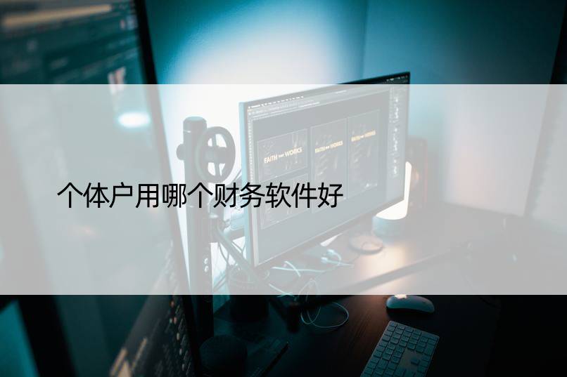 个体户用哪个财务软件好