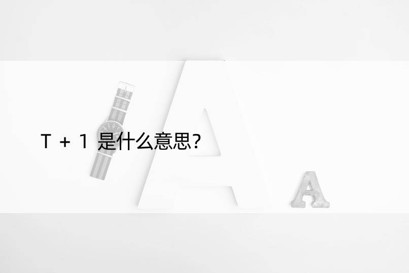 T+1是什么意思？