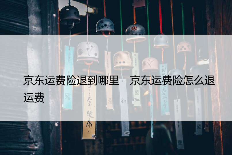 京东运费险退到哪里 京东运费险怎么退运费