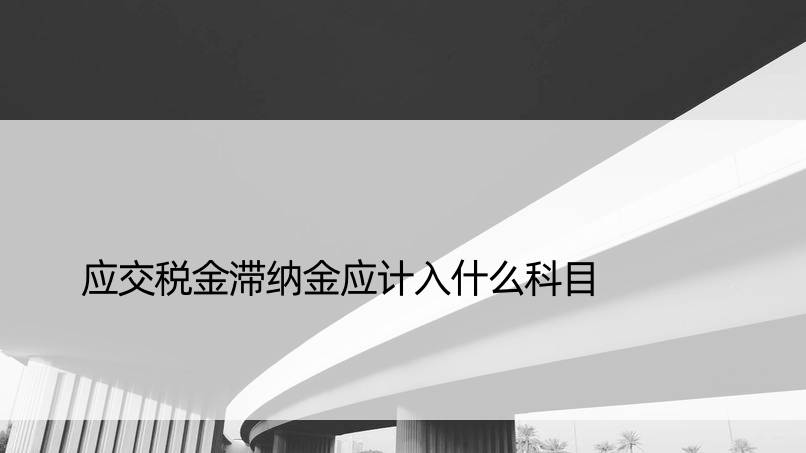 应交税金滞纳金应计入什么科目