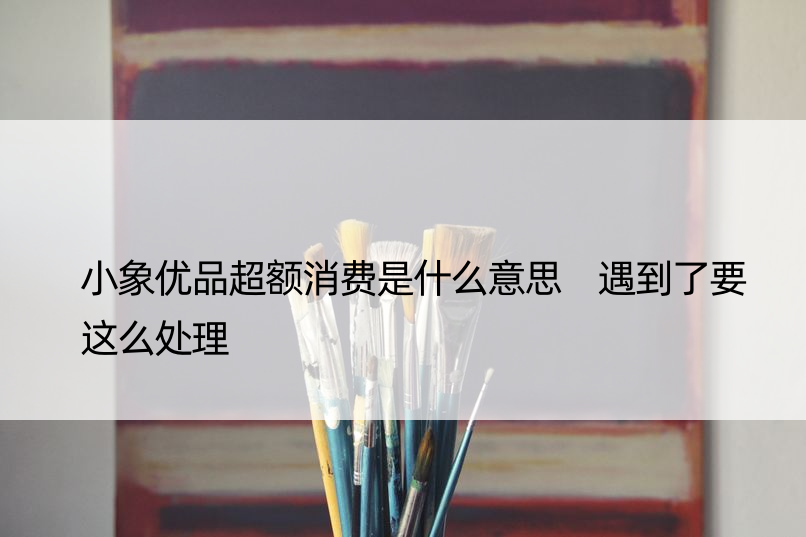 小象优品超额消费是什么意思 遇到了要这么处理